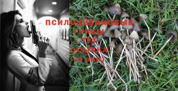 мдпв Баксан