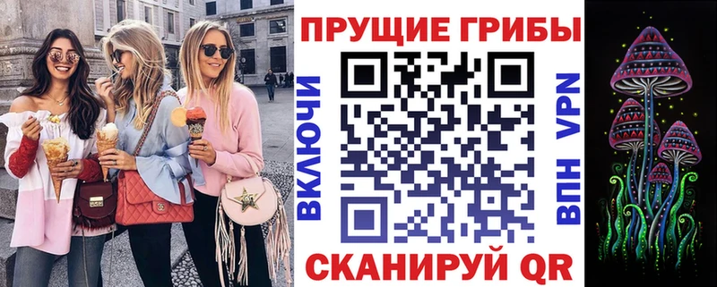Галлюциногенные грибы мицелий  Купить где  Геленджик 